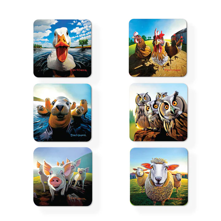 Beyond The Herd Coasters