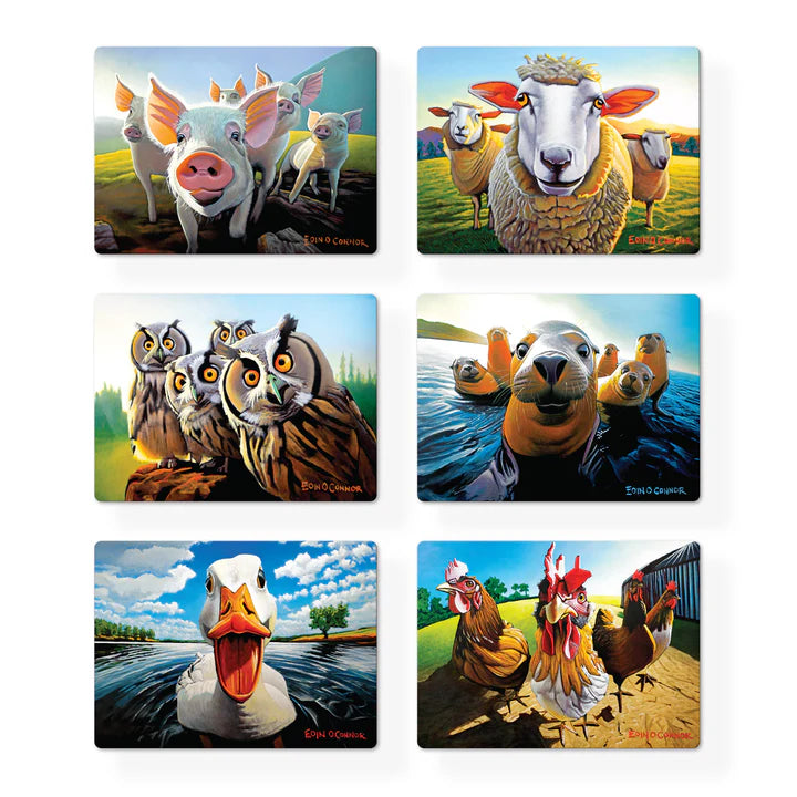 Beyond The Herd Placemats
