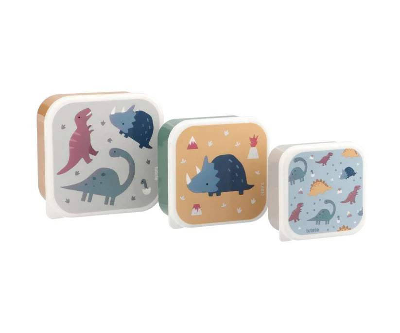 Lunch Box set