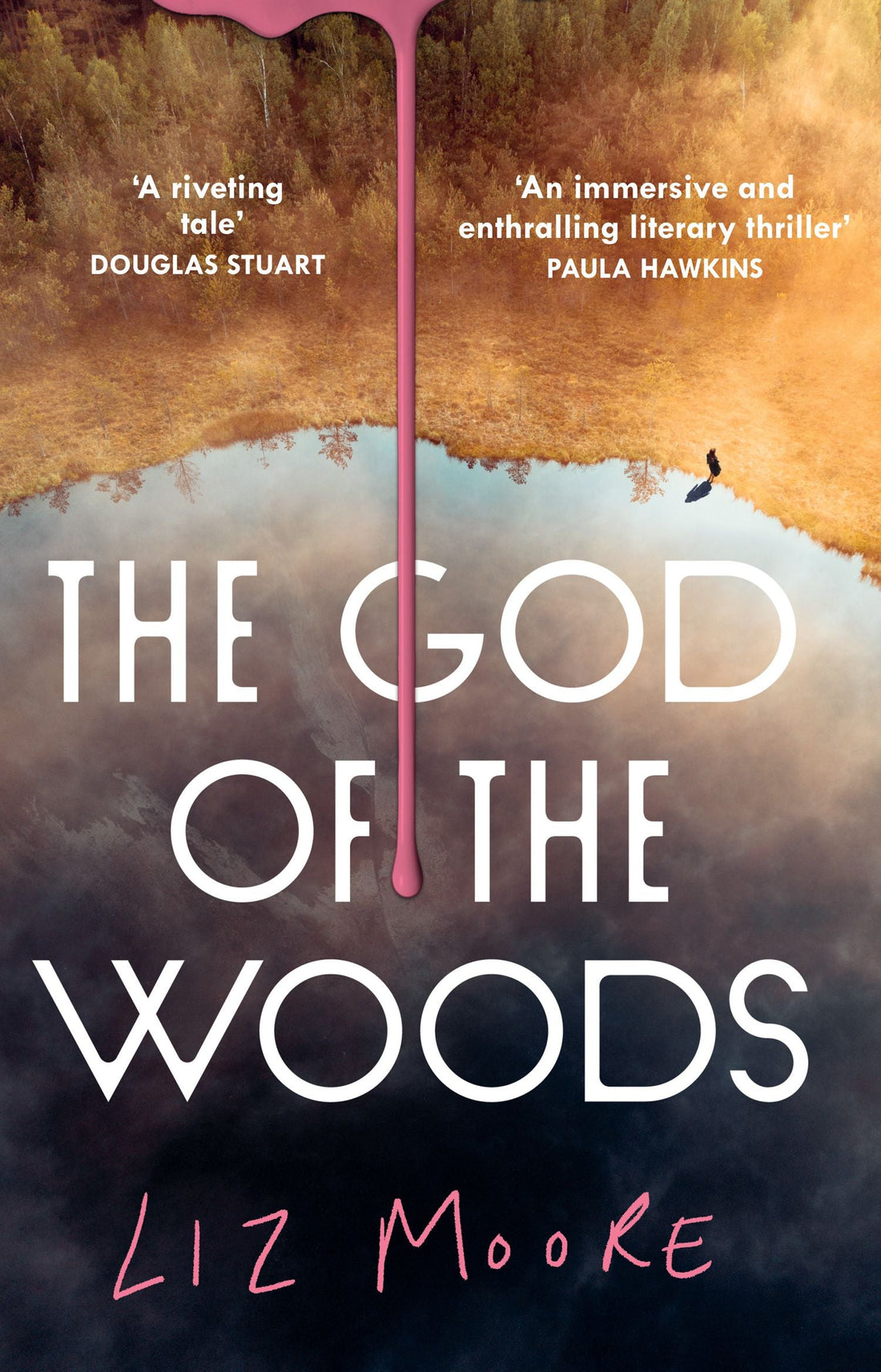 The God of the Woods by Liz Moore book cover