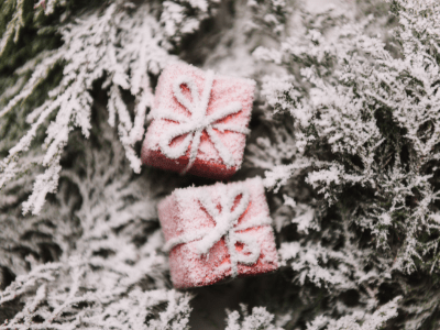 Christmas Gift Ideas 