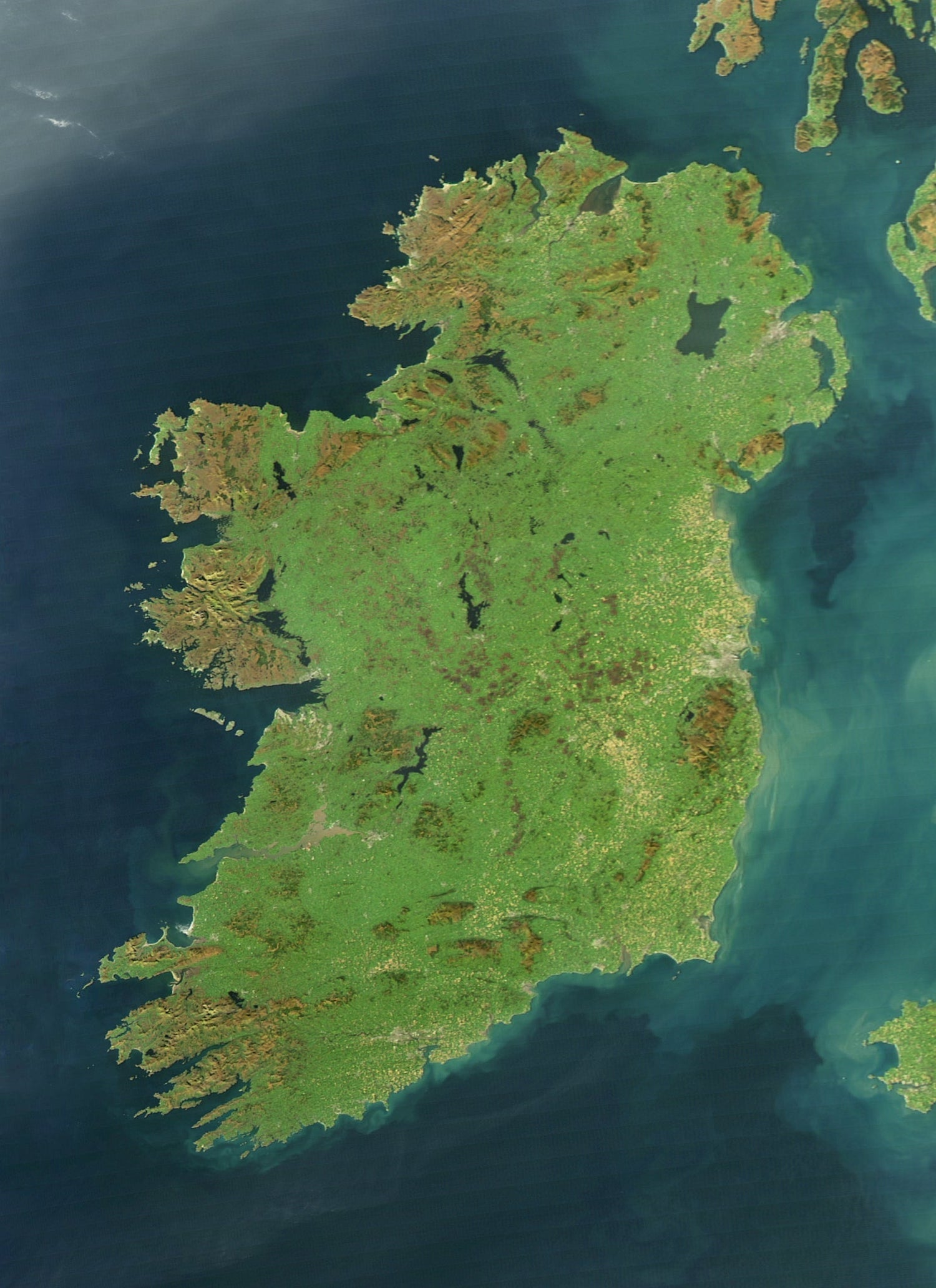Gift Delivery Ireland - The Book Resort