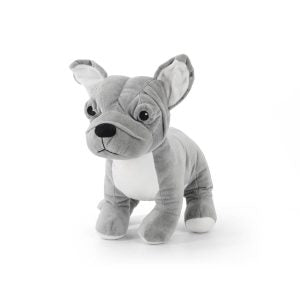 Gosh French Bulldog Teddy