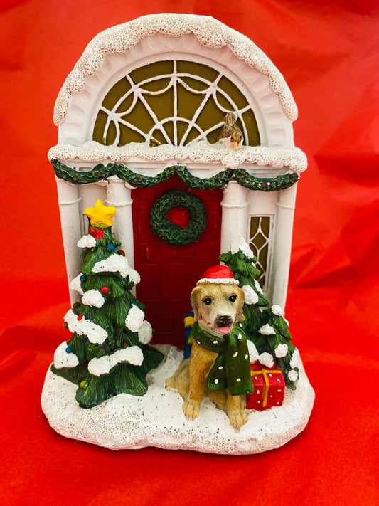 Festive Dog outside House