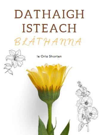 Daitheagh Isteach-Blathanna